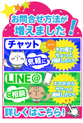 ChamoとLINE＠